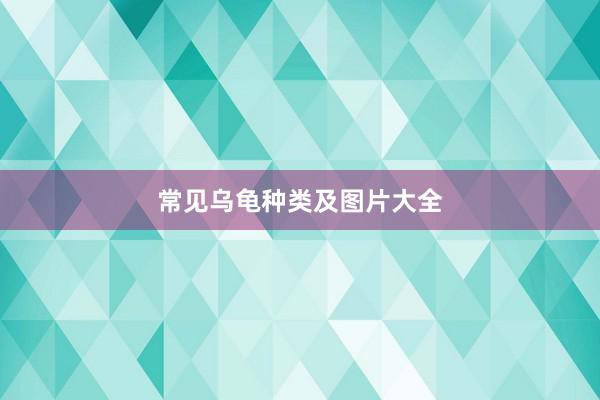 常见乌龟种类及图片大全