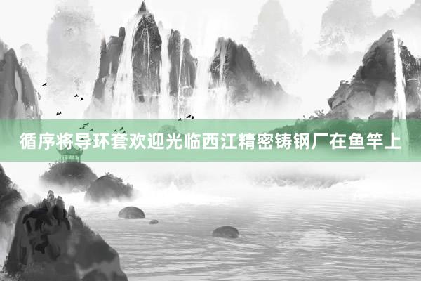 循序将导环套欢迎光临西江精密铸钢厂在鱼竿上