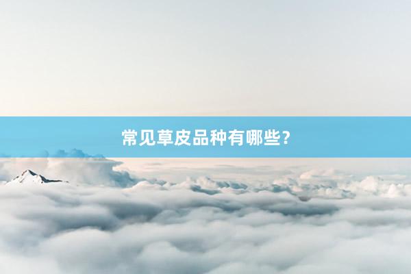 常见草皮品种有哪些？