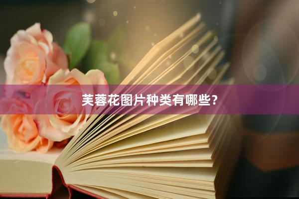 芙蓉花图片种类有哪些？