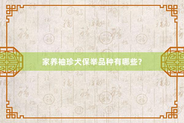 家养袖珍犬保举品种有哪些?